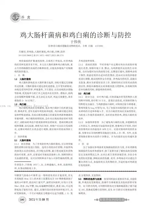 鸡大肠杆菌病和鸡白痢的诊断与防控