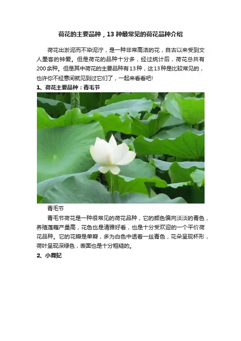 荷花的主要品种，13种最常见的荷花品种介绍