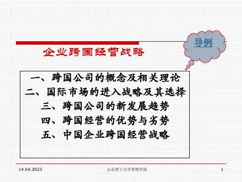 跨国经营战略专题