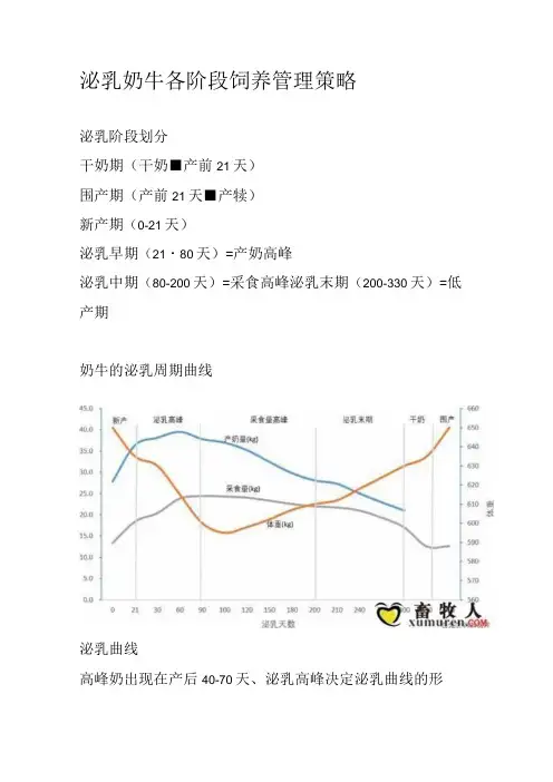 泌乳奶牛各阶段饲养管理策略
