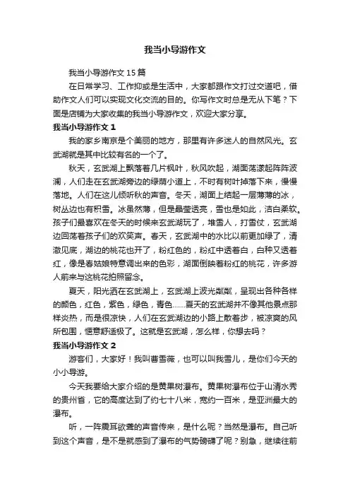 我当小导游作文