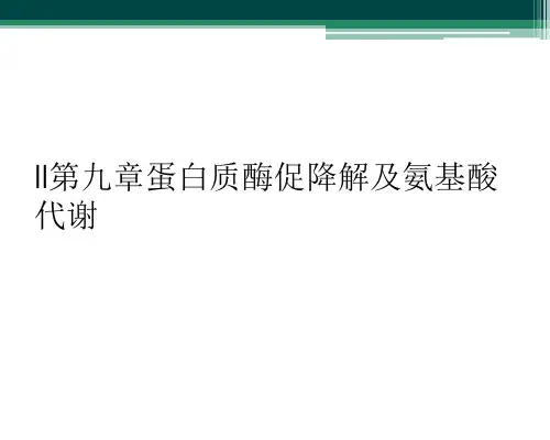 II第九章蛋白质酶促降解及氨基酸代谢