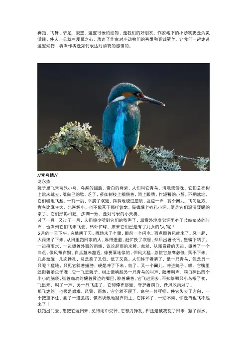 群文阅读四年级 动物朋友 (2)