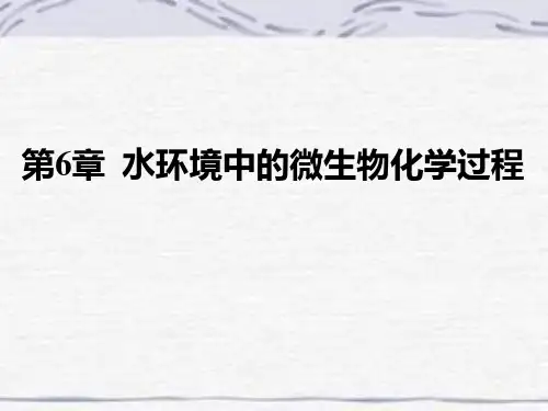 水环境化学-6 水环境中的微生物化学过程