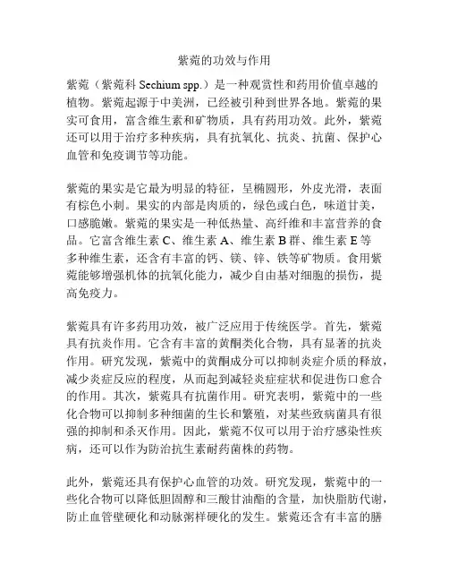 紫菀的功效与作用