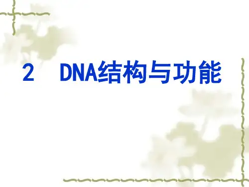 分子生物学第二章dna结构与功能