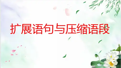 高考专题复习扩展语句与压缩语段课件57张