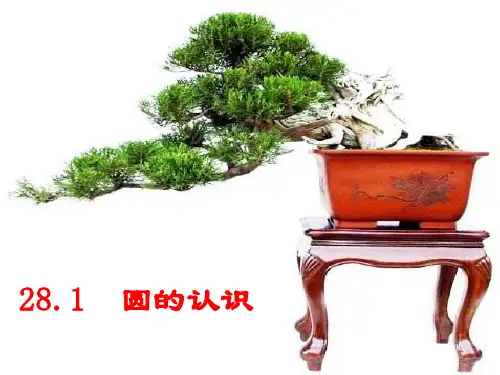 华师大版数学九年级下《圆的认识》ppt课件