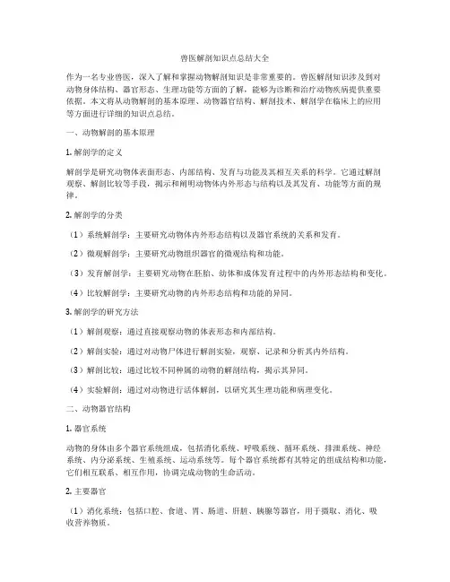 兽医解剖知识点总结大全