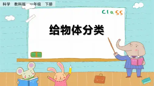 《给物体分类》PPT课件