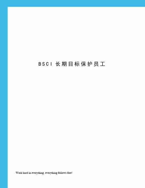 BSCI长期目标保护员工
