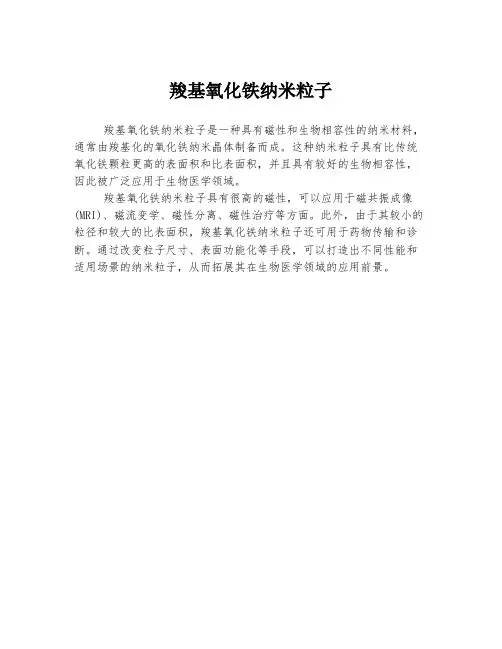 羧基氧化铁纳米粒子