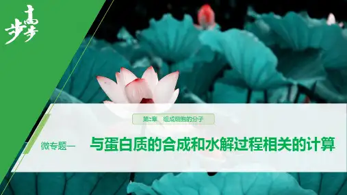 19-20版：第2章 微专题一 与蛋白质的合成和水解过程相关的计算（步步高）