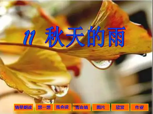 (汇总)小学语文第五册11课《秋天的雨》ppt课件.ppt
