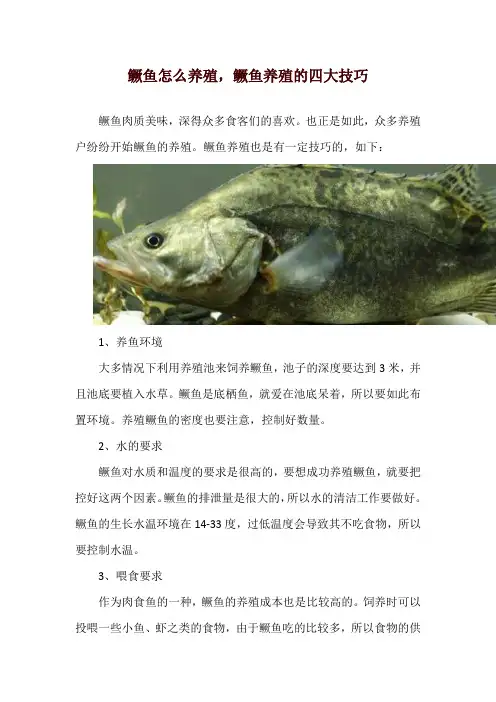 鳜鱼怎么养殖,鳜鱼养殖的四大技巧