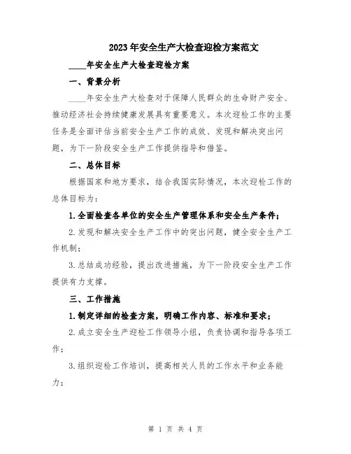 2023年安全生产大检查迎检方案范文