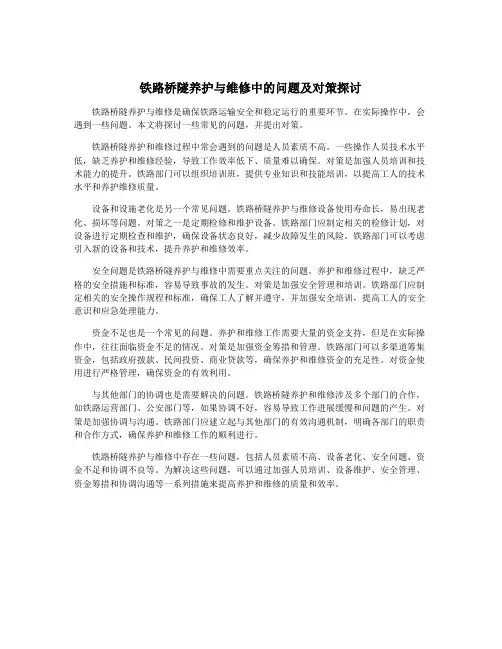 铁路桥隧养护与维修中的问题及对策探讨