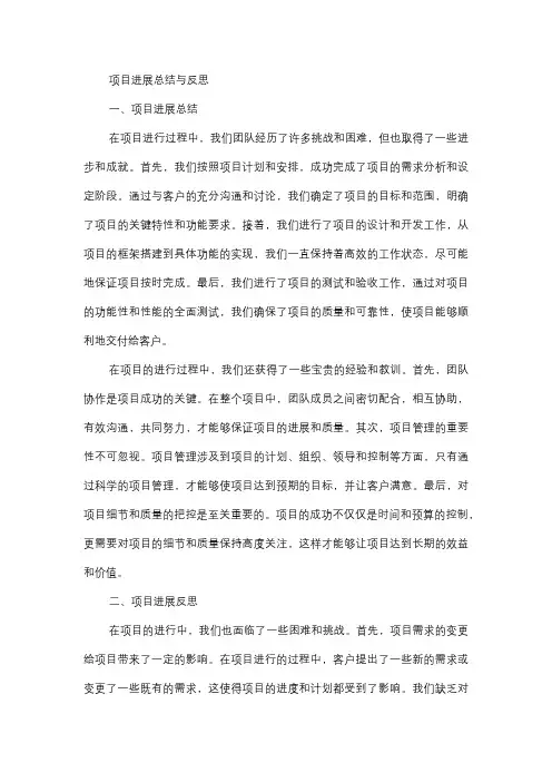  项目进展总结与反思