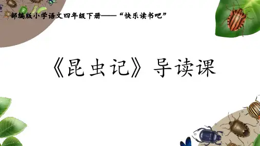 《昆虫记》导读课课件
