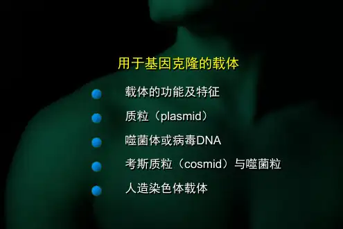 基因工程的载体