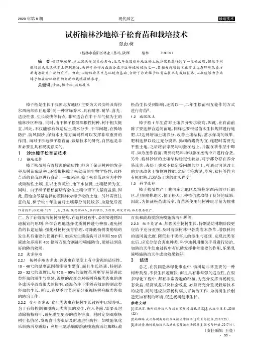 试析榆林沙地樟子松育苗和栽培技术