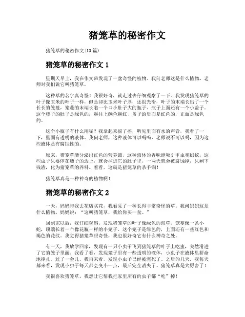 猪笼草的秘密作文