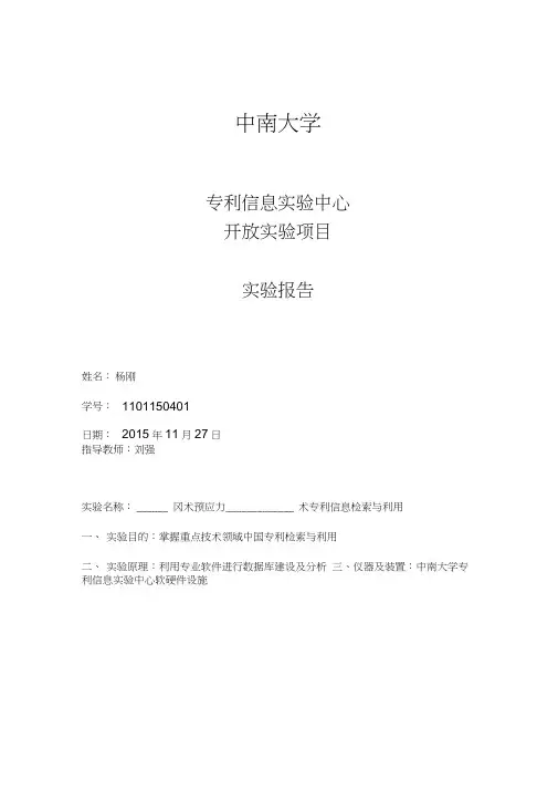 专利分析报告