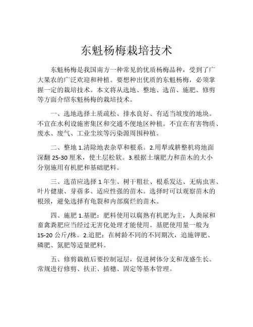 东魁杨梅栽培技术