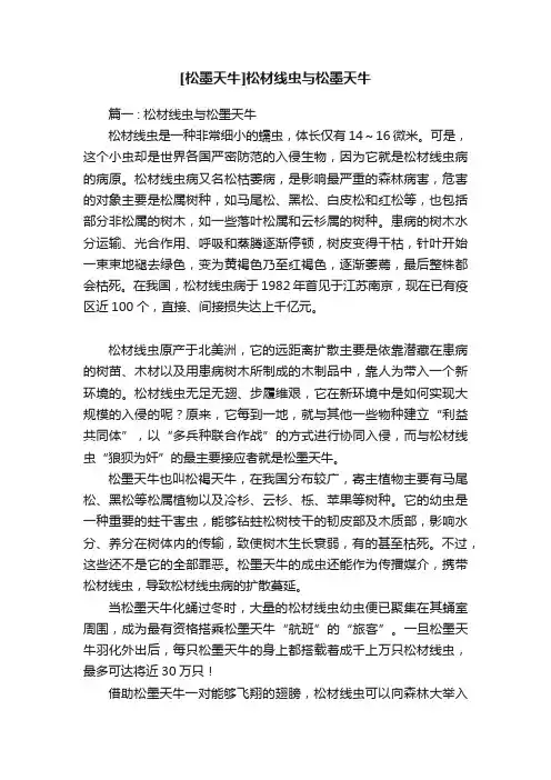 [松墨天牛]松材线虫与松墨天牛