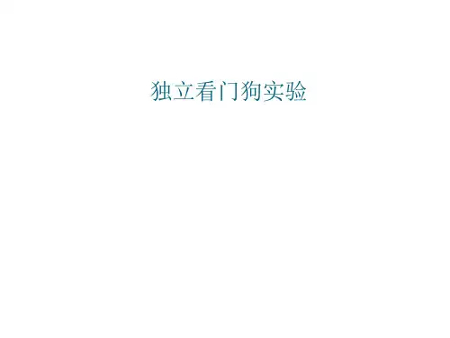 8--独立看门狗