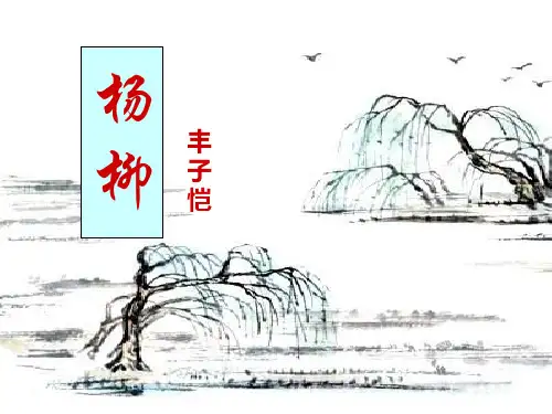 小学六年级语文下册《杨柳》ppt课件(1)
