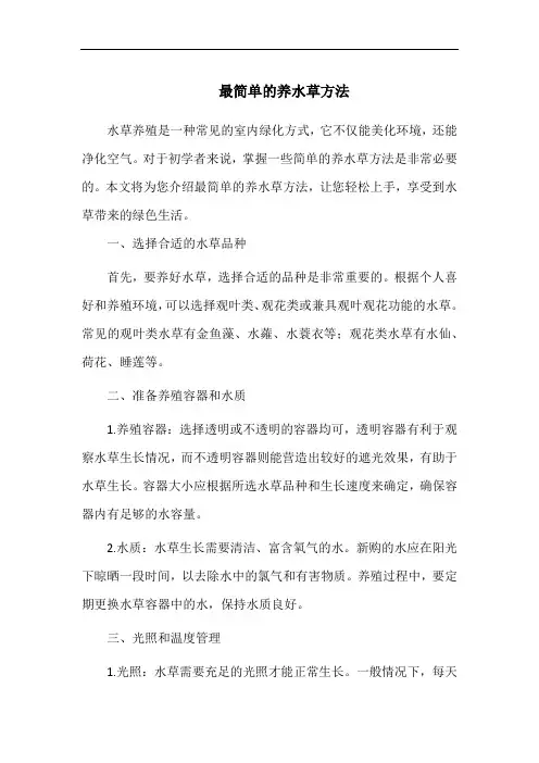 最简单的养水草方法