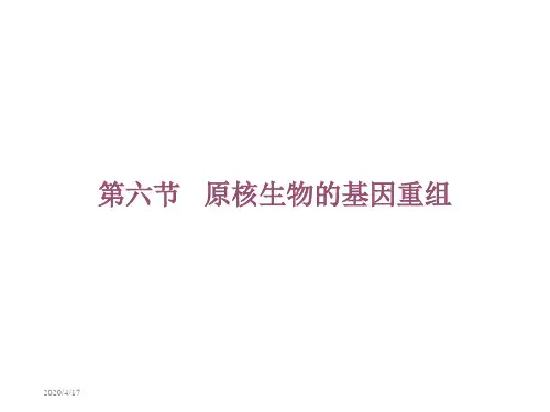 原核生物的基因重组