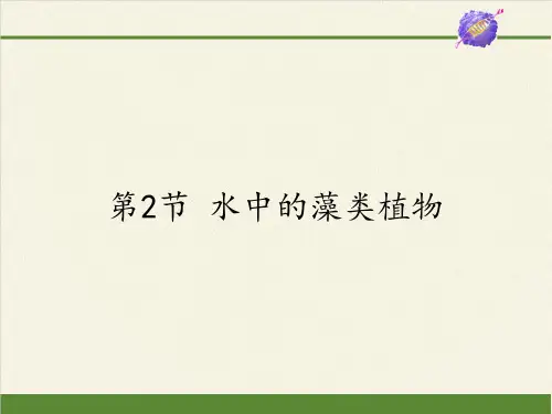苏科版初中生物七年级下册课件-5.10.2 水中的藻类植物4