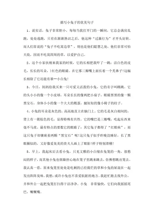 描写小兔子的优美句子