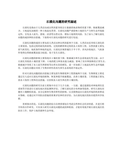 石漠化问题的研究综述