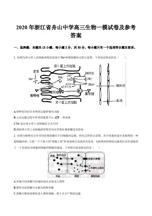 2020年浙江省舟山中学高三生物一模试卷及参考答案