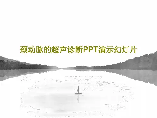 颈动脉的超声诊断PPT演示幻灯片138页PPT