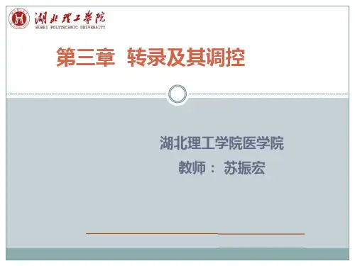 转录及转录调控