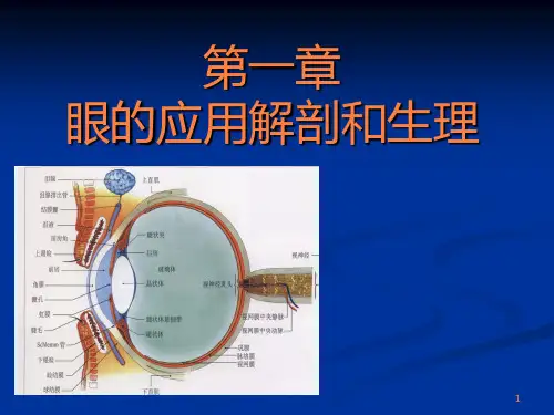 眼的应用解剖生理PPT课件