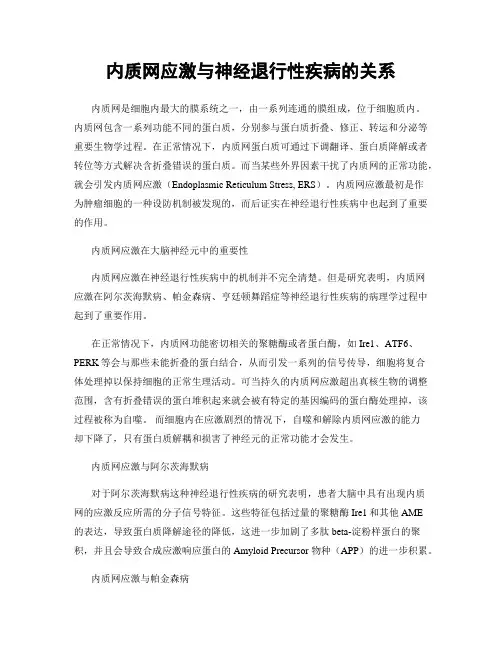 内质网应激与神经退行性疾病的关系