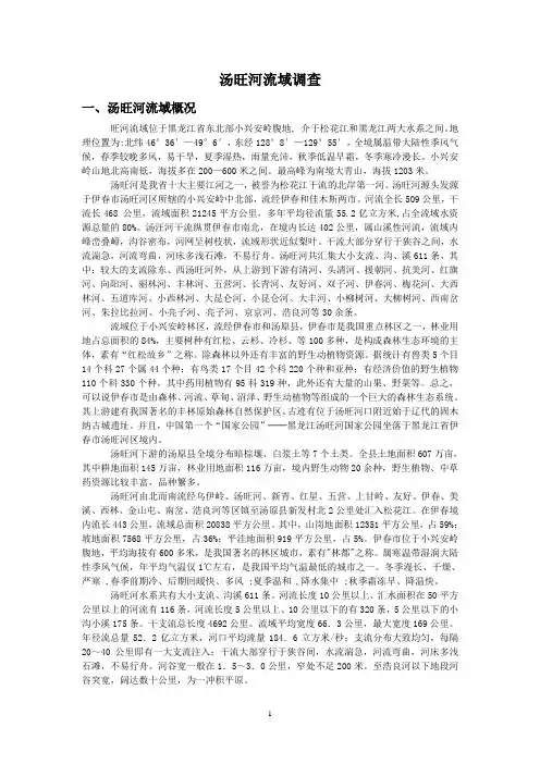 汤旺河流域调查