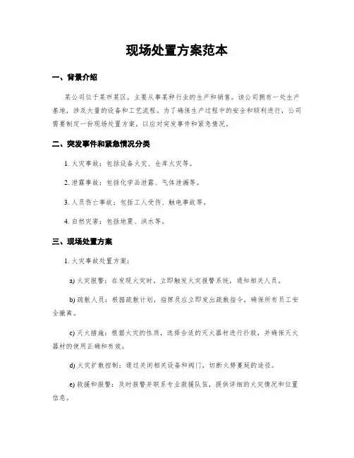 现场处置方案范本