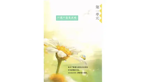白鹭   第1课时  课件(共45张PPT)