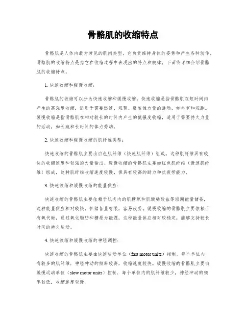 骨骼肌的收缩特点
