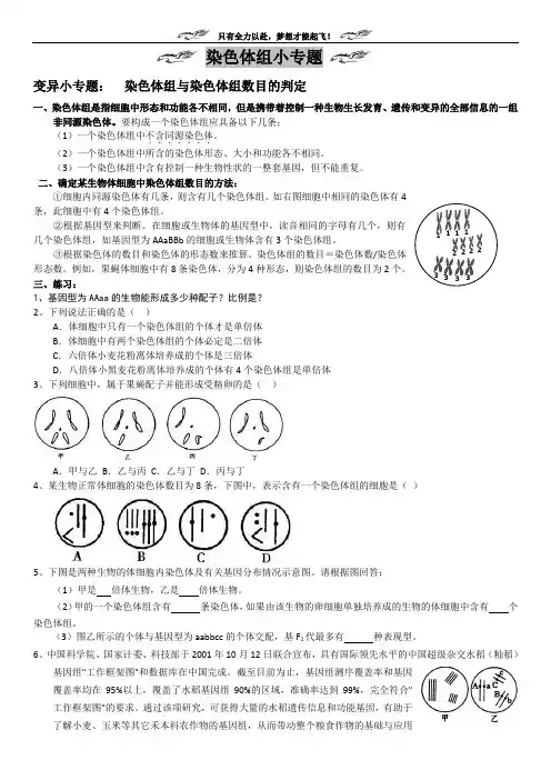 同源多倍体异源多倍体