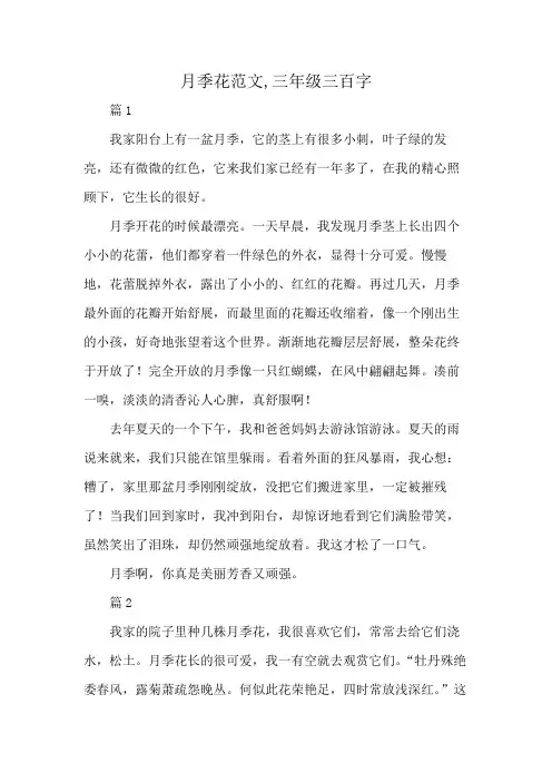月季花范文,三年级三百字