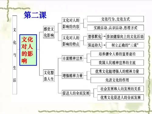 高中政治《文化生活》课件：2.1感受文化影响