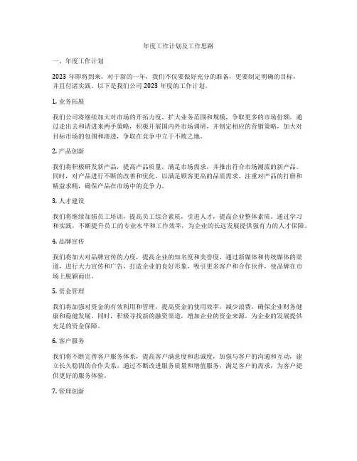 年度工作计划及工作思路