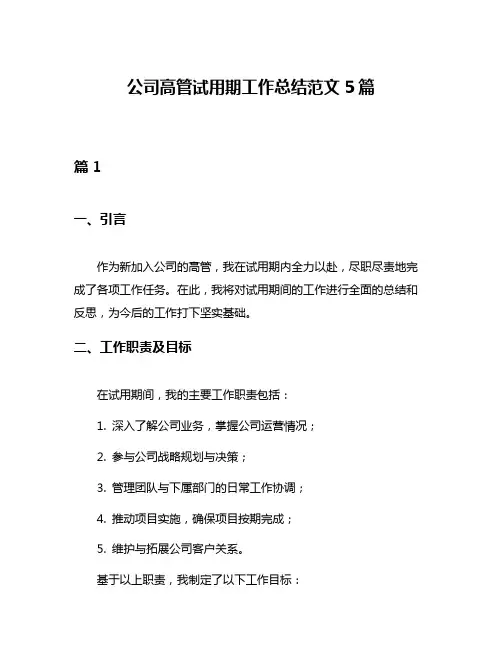 公司高管试用期工作总结范文5篇